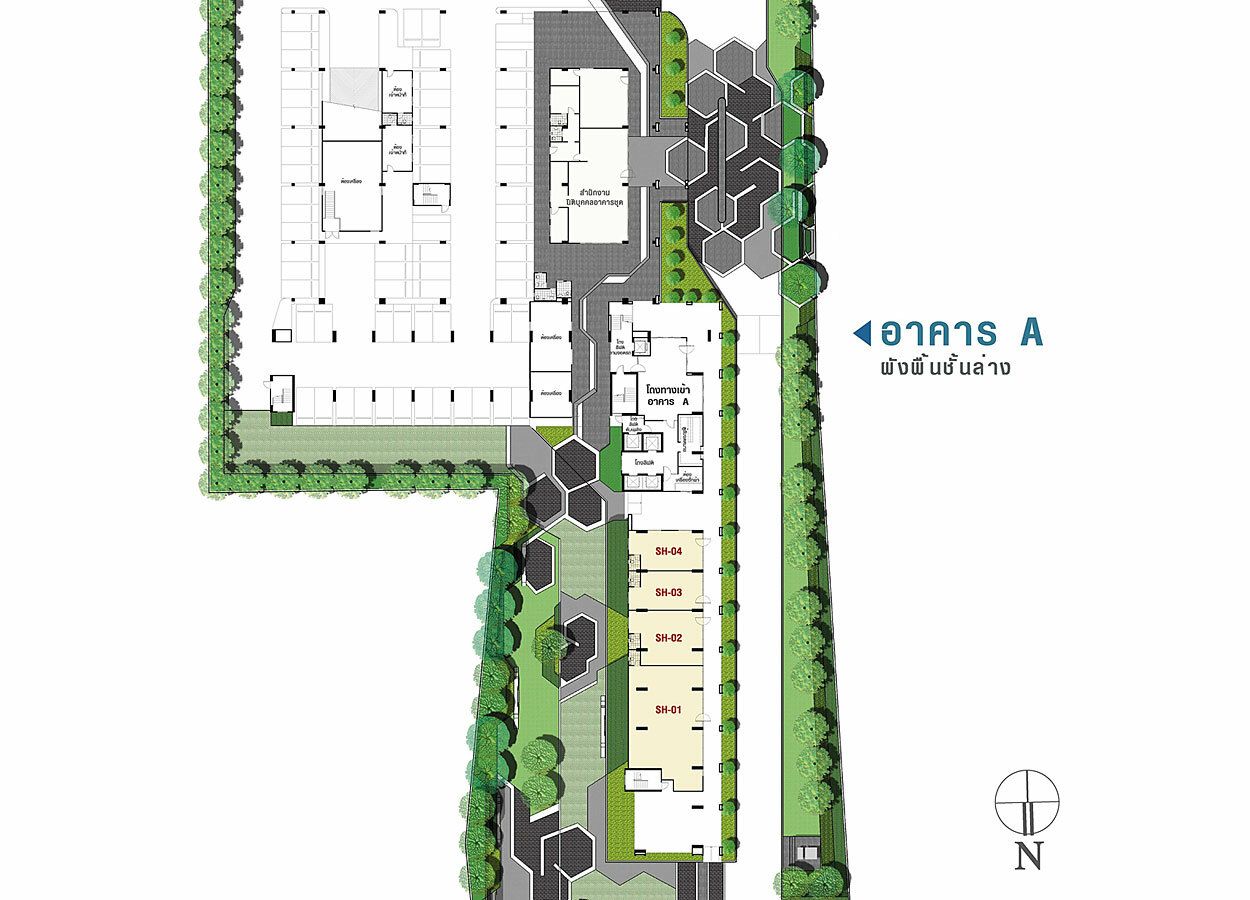 Lumpini Park Rama 9 - Ratchada