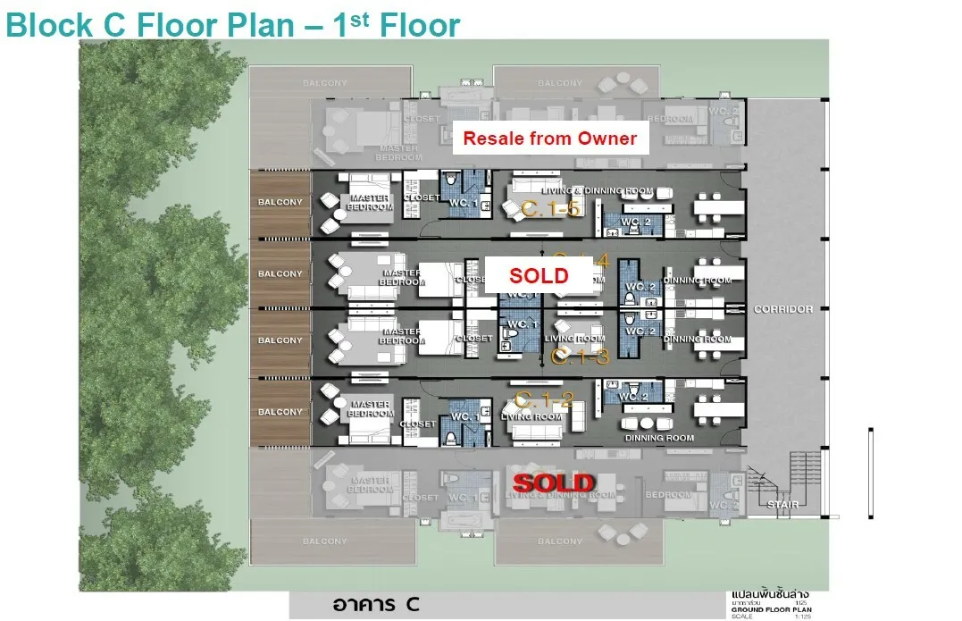 The Bay Condominium