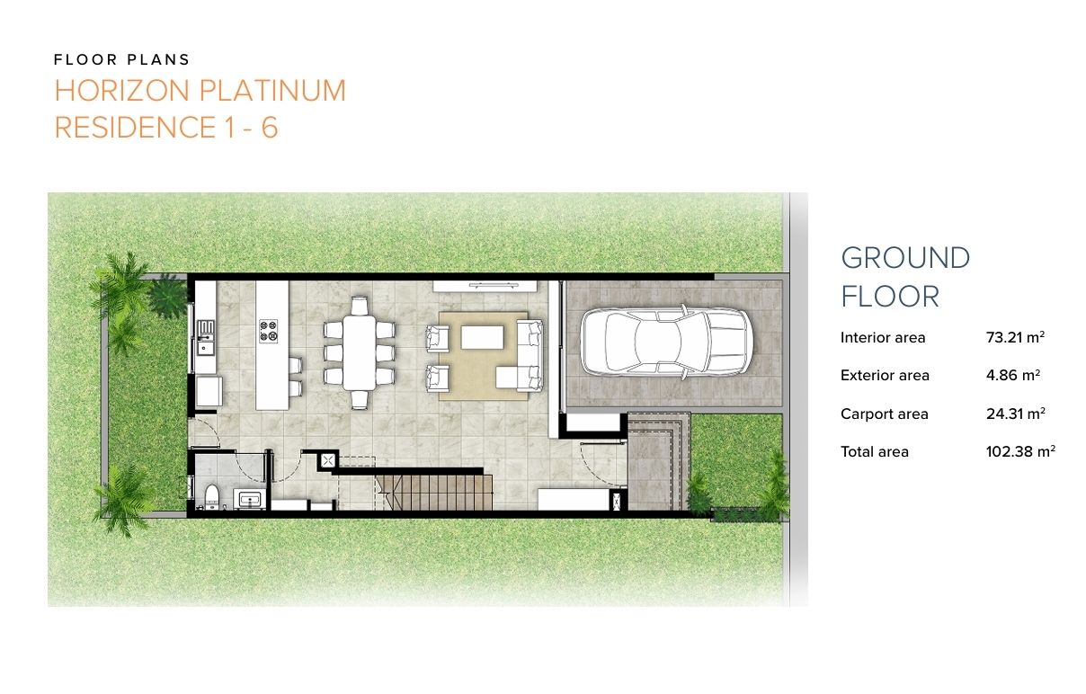 Horizon Platinum
