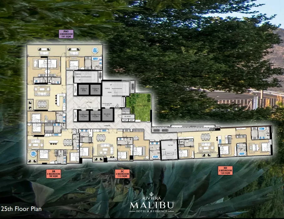 The Riviera Malibu & Resident