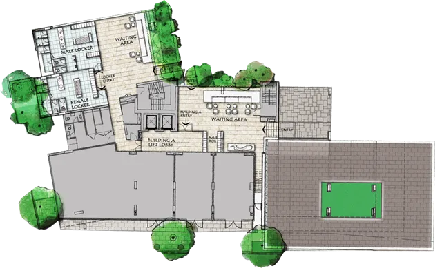Floor Plans